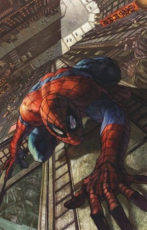 AMAZING SPIDER-MAN #12 SIMONE BIANCHI VIRGIN 1:50 VARIANT