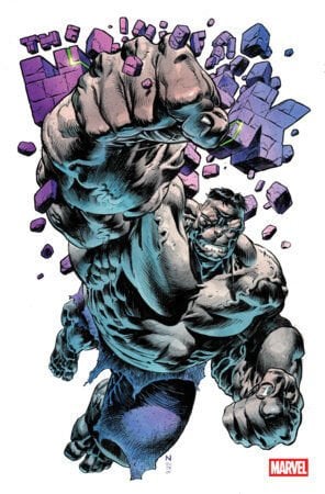 INFERNAL HULK #10 - PRE ORDER