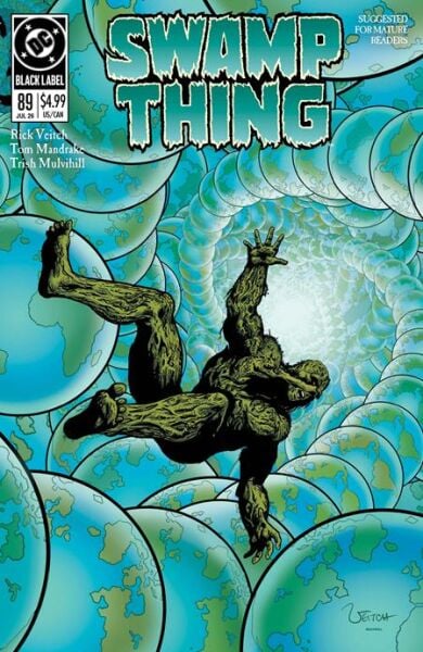 SWAMP THING 1989 #2 (OF 4) CVR A RICK VEITCH (MR) - PRE-ORDER
