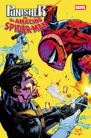 PUNISHER VS. SPIDER-MAN #2 - PRE ORDER