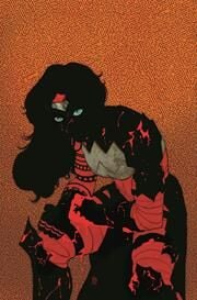 ABSOLUTE WONDER WOMAN #11 CVR A HAYDEN SHERMAN