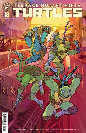 TEENAGE MUTANT NİNJA TURTLES #18 COVER C (BALAM) - PRE-ORDER