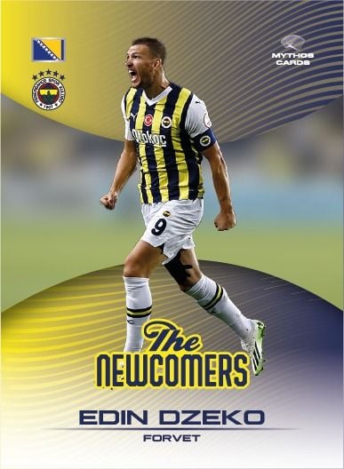Fenerbahçe 2023-24 Sezon Kartları - Tam Kutu