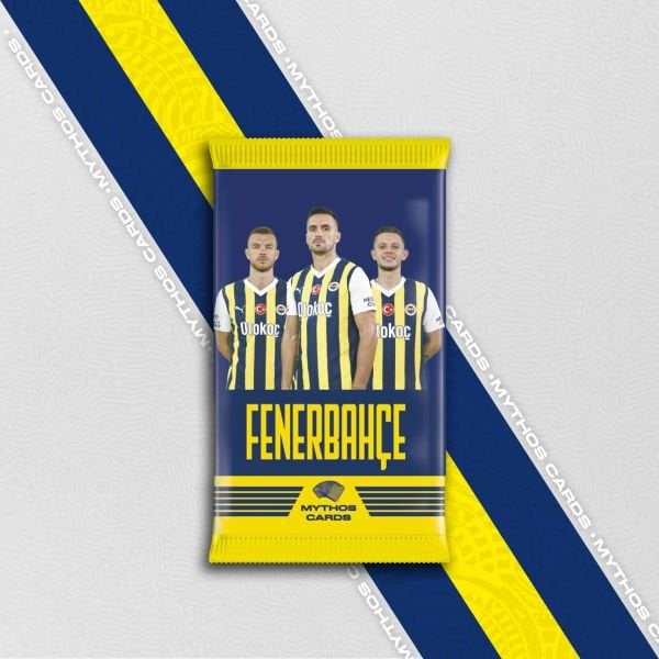 Fenerbahçe Moments 2023-24 Sezonu