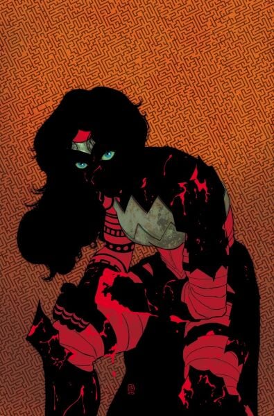 ABSOLUTE WONDER WOMAN #11 CVR A HAYDEN SHERMAN