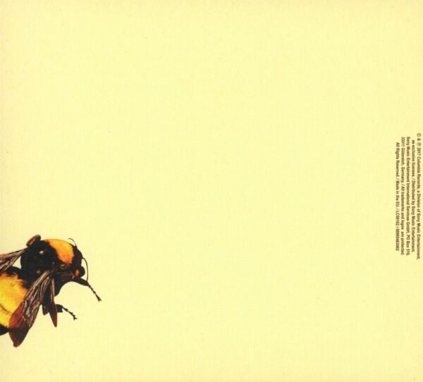 TYLER, THE CREATOR – SCUM FUCK FLOWER BOY CD EDITION