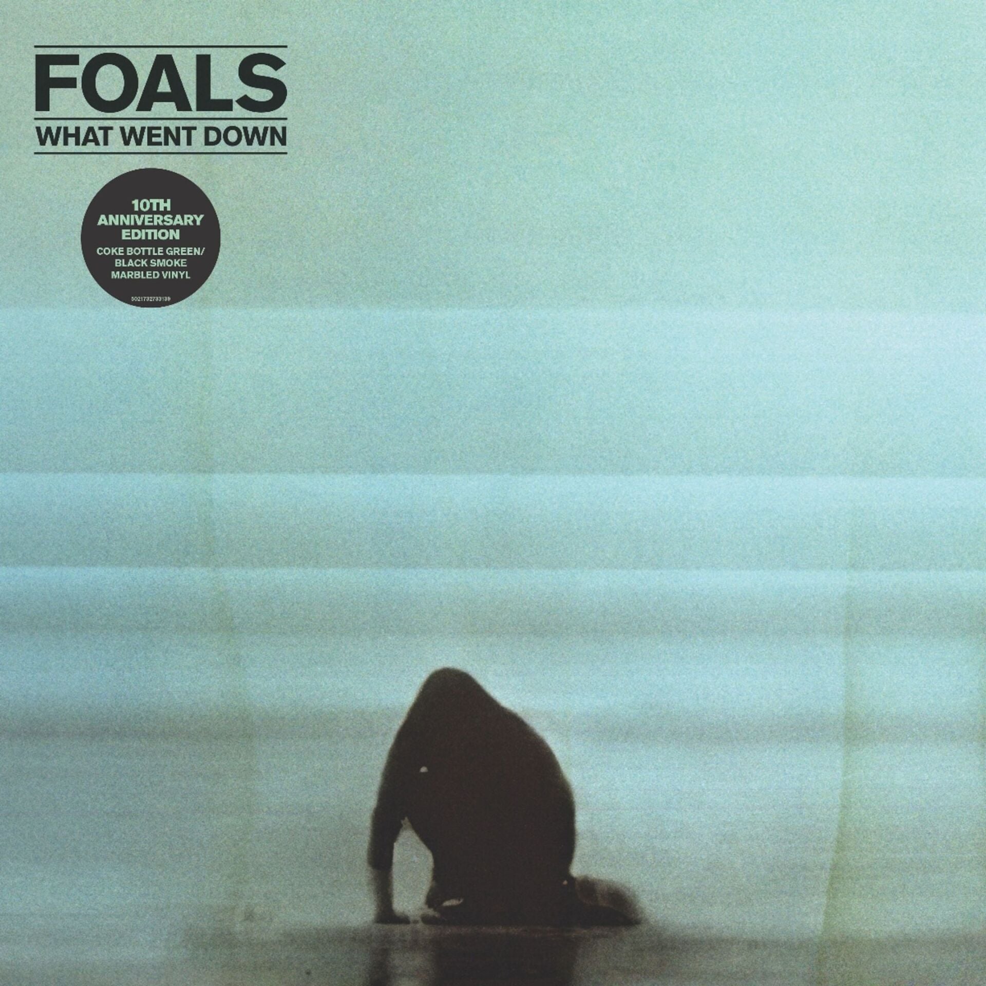 FOALS – WHAT WENT DOWN 10TH ANNIVERSARY COLORED VINYL EDITION
