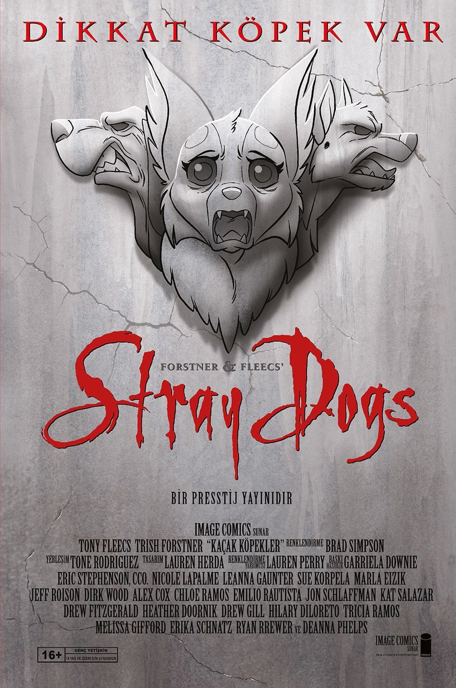 Stray Dogs Cilt - Sert Kapak (Kapak A)