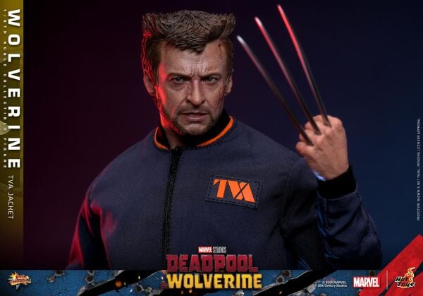 WOLVERINE (TVA JACKET VERSION) SIXTH SCALE FIGURE - HOT TOYS - PRE/ORDER