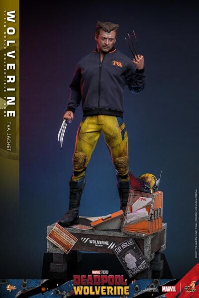 WOLVERINE (TVA JACKET VERSION) SIXTH SCALE FIGURE - HOT TOYS - PRE/ORDER
