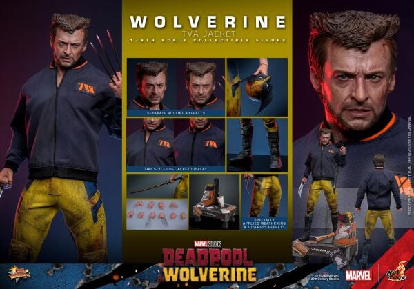 WOLVERINE (TVA JACKET VERSION) SIXTH SCALE FIGURE - HOT TOYS - PRE/ORDER