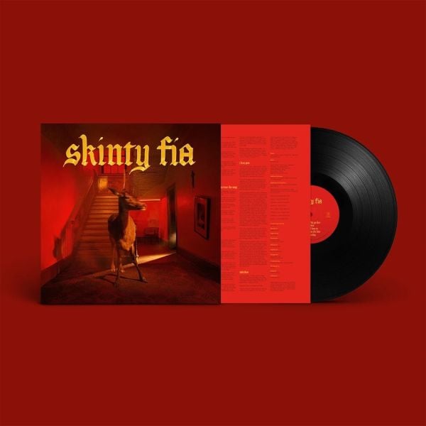 Fontaines DC - Skinty Fia