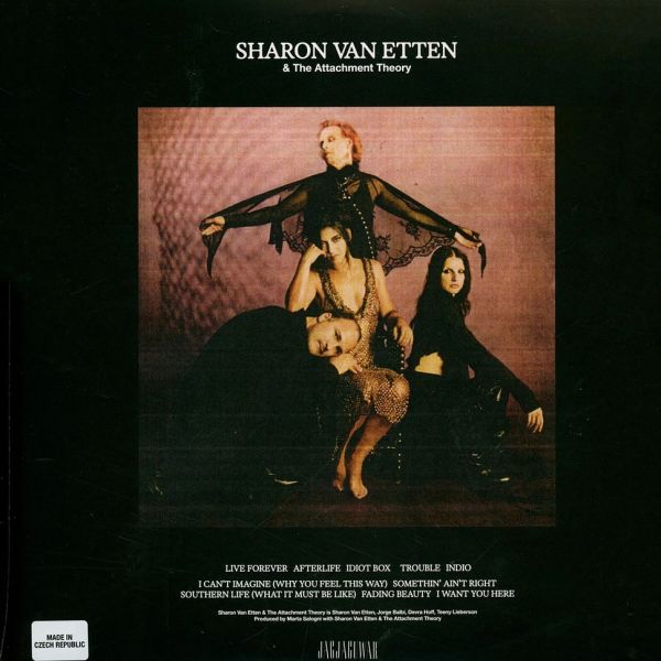 SHARON VAN ETTEN SHARON VAN ETTEN & THE ATTACHMENT THEORY - AMBER GALAXY VİNYL EDİTİON + LAPTOP STİCKER